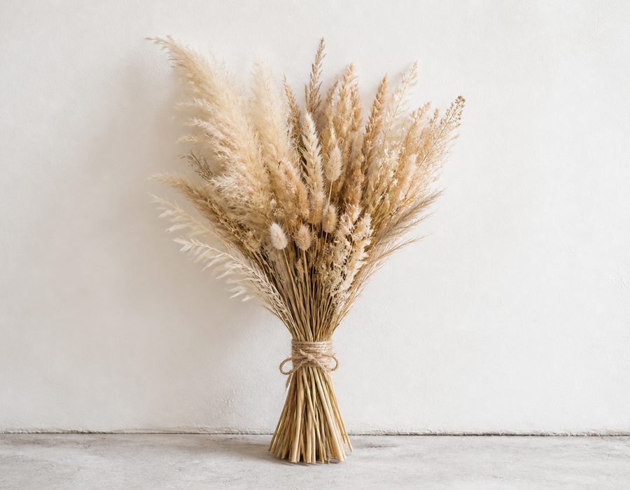 Dried Grass Bundle